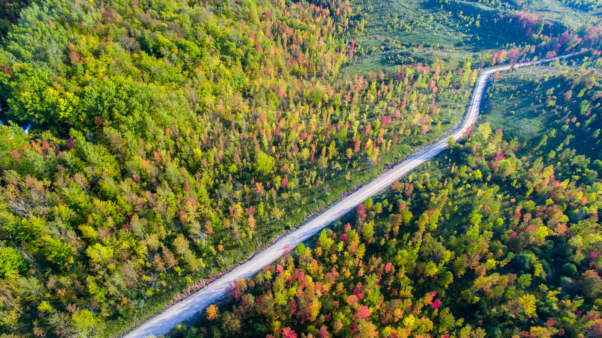 aerial view of forest with road going through