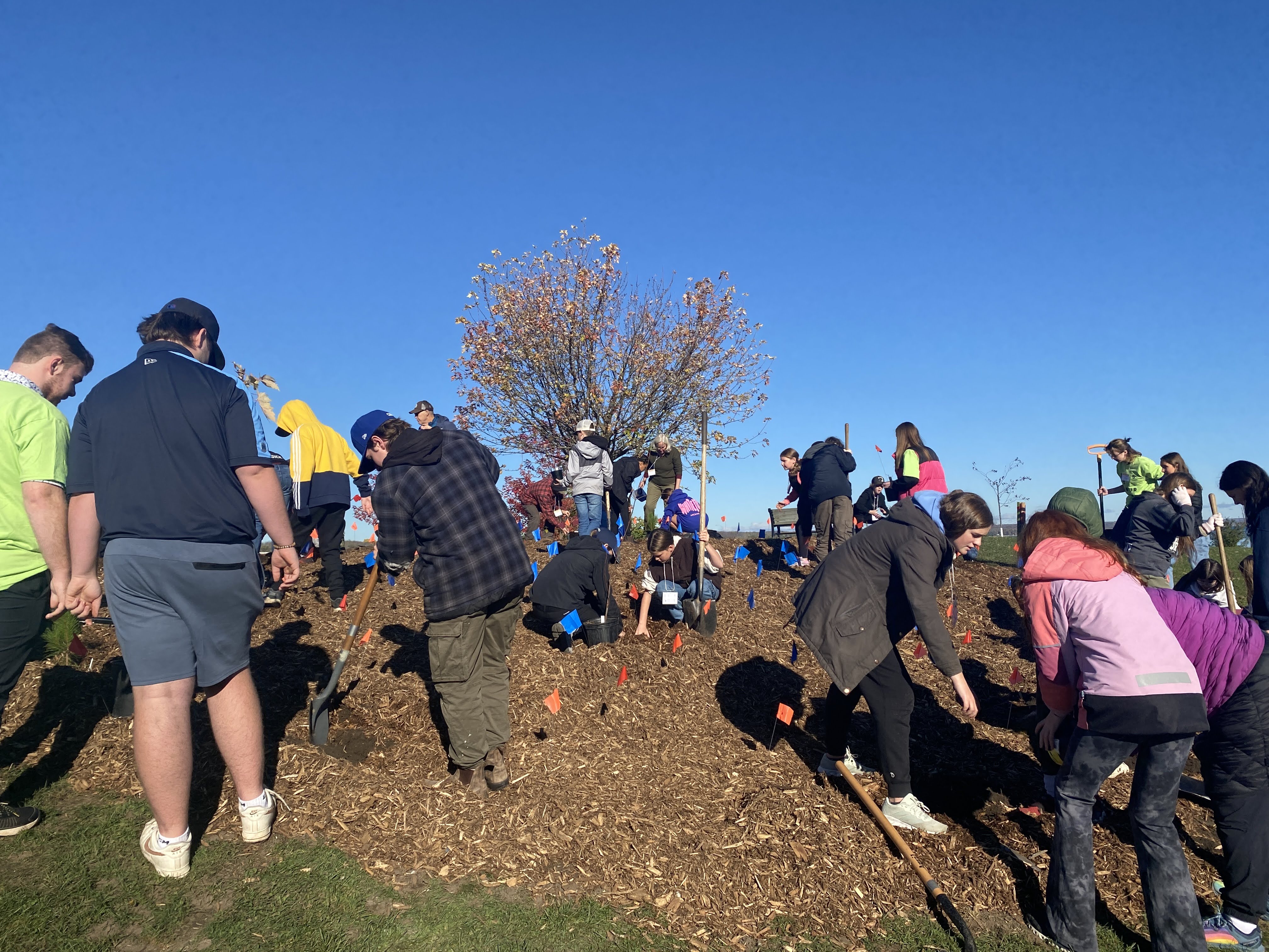 Students planting at YCAC 2025