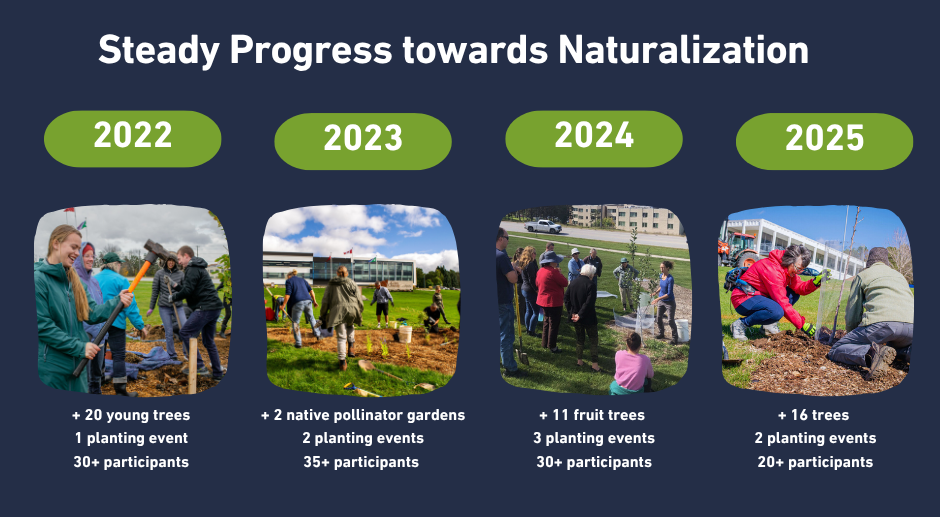 Decorative infographic showing the number of trees, volunteers and planting events since 2022