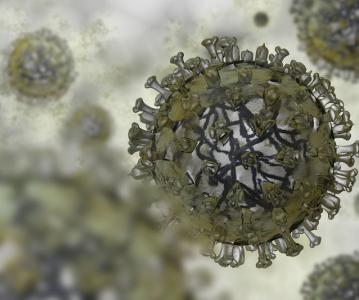 IMPORTANT Directive on Visitor Restrictions 