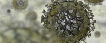 IMPORTANT Directive on Visitor Restrictions 