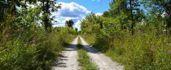 Grey County embarks on one-year pilot project with Ontario Federation of Trail Riders