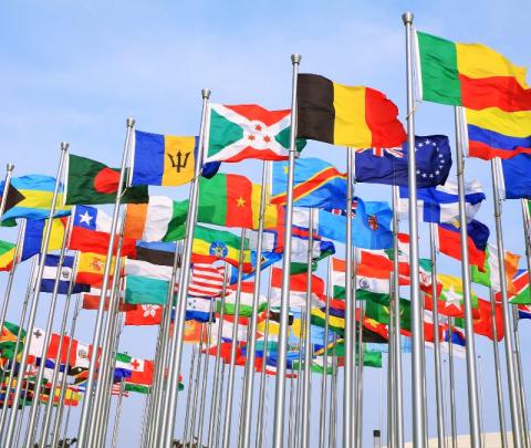 Photo showing various nation's flags. 