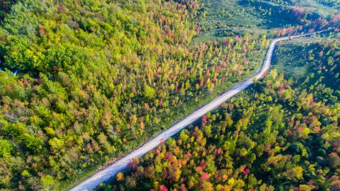 aerial view of forest with road going through