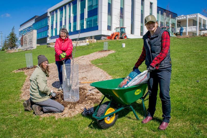 Three smiling volunteers planting a tree at the Grey County Admin Building