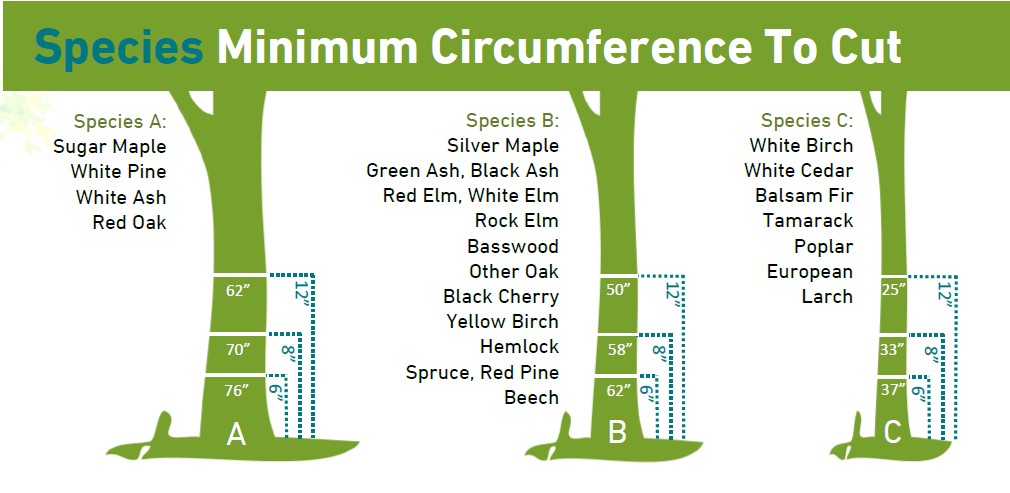 species minimum circumference to cut diagram