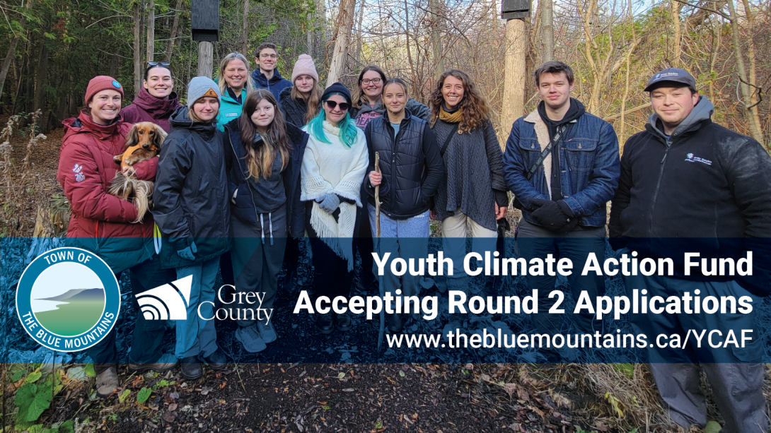 Group of youth from St Marys outside installing bat box