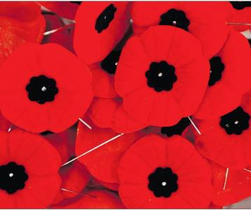 Offices Closed for Remembrance Day