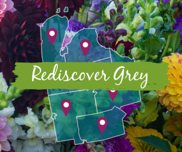 Rediscover Grey and support local businesses