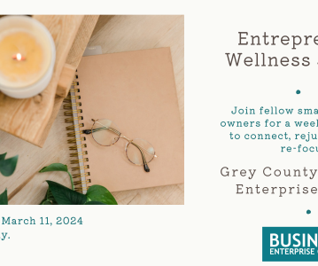 Entrepreneur Wellness Series