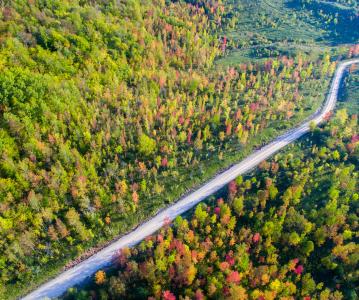 Grey County seeks public input on New Climate Adaptation Plan: Resilient Grey