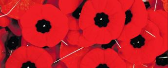 Offices Closed for Remembrance Day