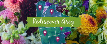 Rediscover Grey and support local businesses