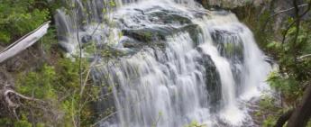 Students Build Six New Kiosks for Grey County Waterfalls and Conservation Areas