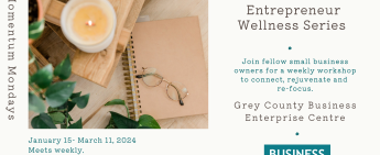 Entrepreneur Wellness Series