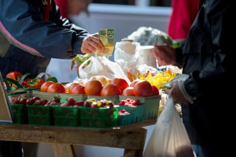 Close up of someone pay for fresh tomatoes at a market