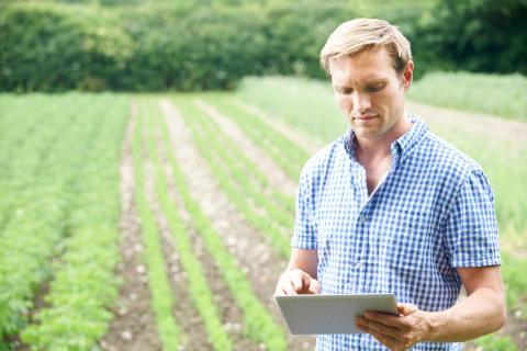 A man holding a tablet stands in a field.