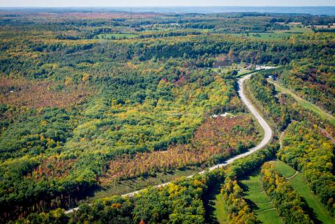 aerial photo of a Grey County road surrounded by a colourful forest in the fall. 