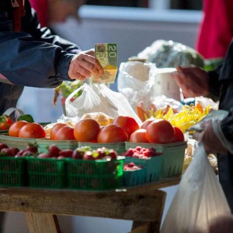 Fresh Market Vegetables