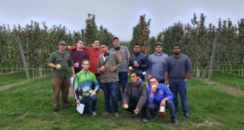 Hackathon competitors at T and K Ferri Orchards, eating apples and posing in front of rows of apple trees