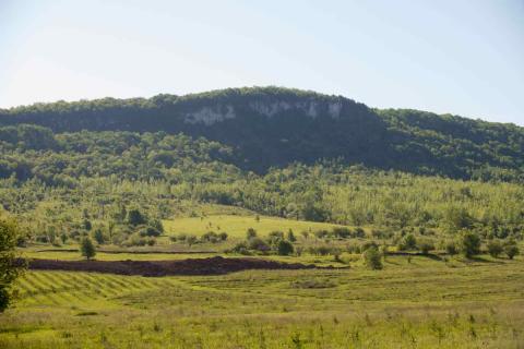 The open stone face of the Niagara Escarpment above a forested area. 