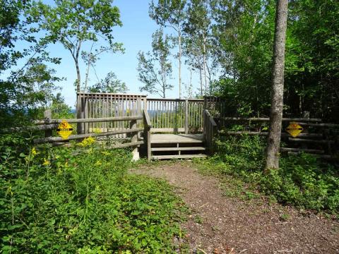 View from the lookout at the St. Vincent trail in Meaford. The view is from the wooden platform in the forest overlooking Georgian Bay.