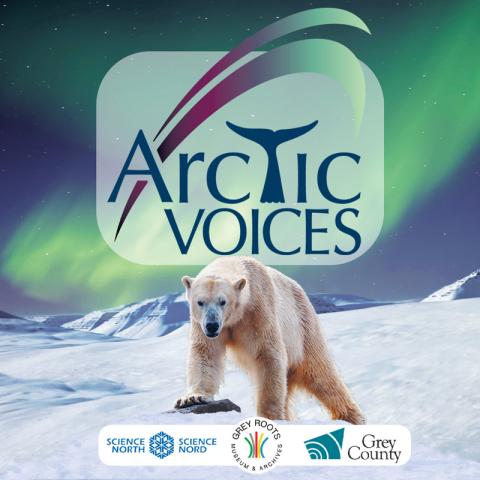 Polar bear in the Arctic with banner reading "Arctic Voices"