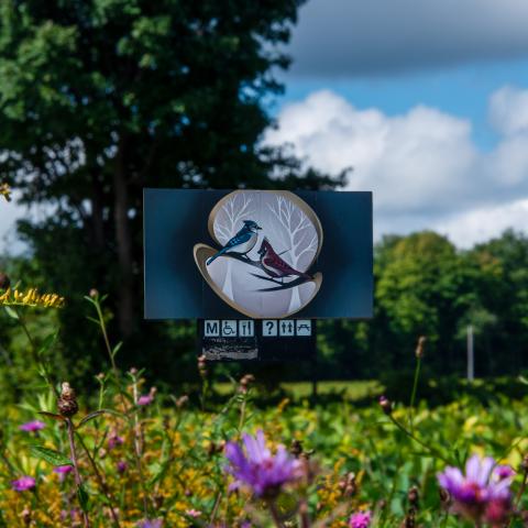 An artistic billboard of a cardinal and blue jay in a field of wildflowers