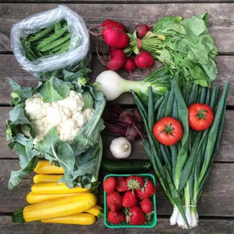 Fresh locally grown vegetables are displayed on a table top.