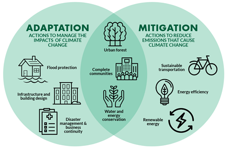 Adaptation and mitigation