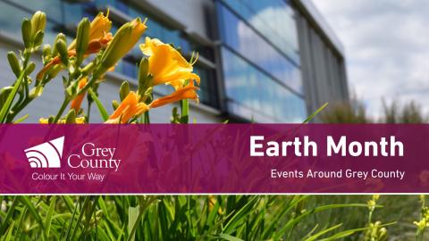 Image of yellow spring flowers in front of the administration building with overlaying text reading Earth Month Events Around Grey