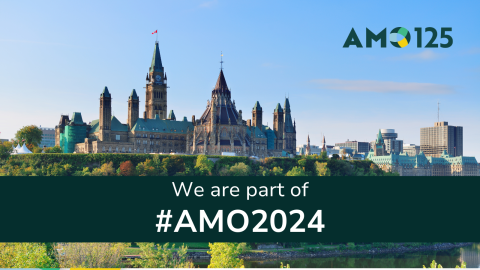 Skyline of parliament in Ottawa with overlaid text reading We are part of AMO2024